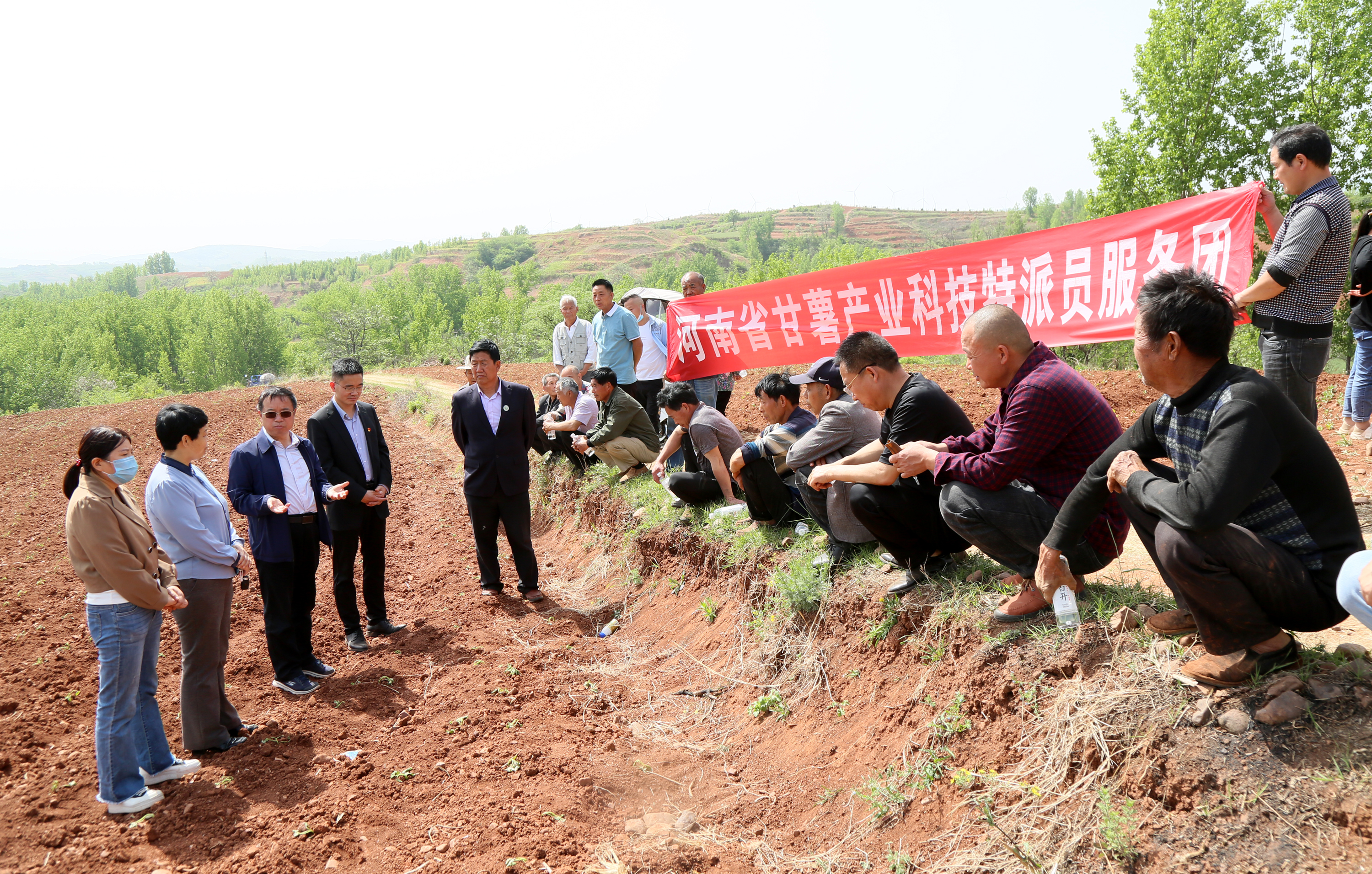 河南日报汝阳县红里村高校红薯专家帮扶到地头